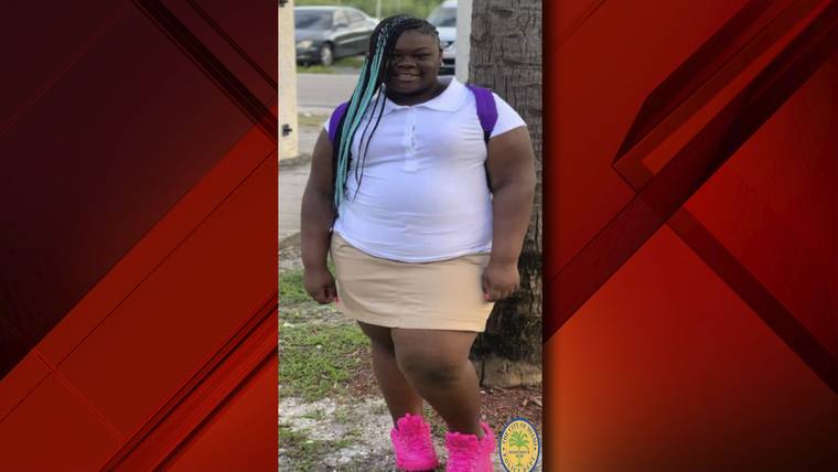 Policía de Miami solicita ayuda para localizar a niña desaparecida