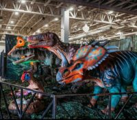 Una manada de dinosaurios gigantes invadirá Miami por un fin de semana