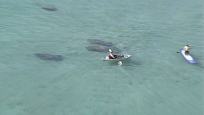 Tiburones y manatíes fueron vistos cerca de Haulover mientras las playas permanecen cerradas