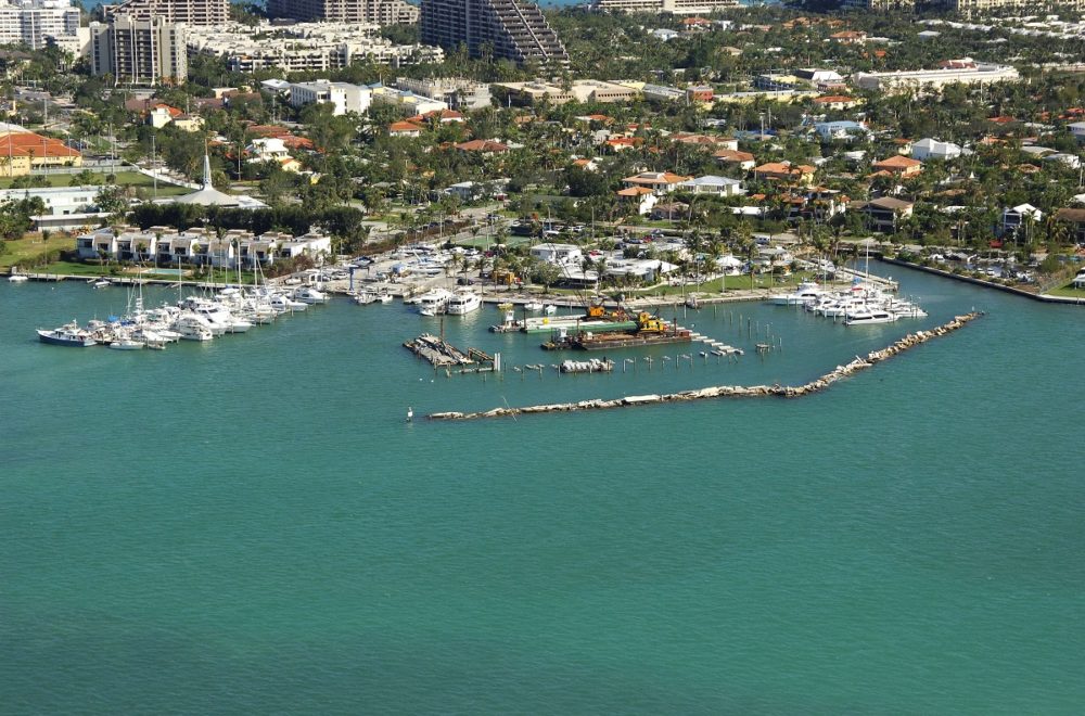 Nuevo ataque de tiburón, esta vez en Key Biscayne