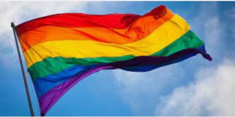 Mes de la Historia LGBTQ generó conflicto en la junta escolar de Miami-Dade