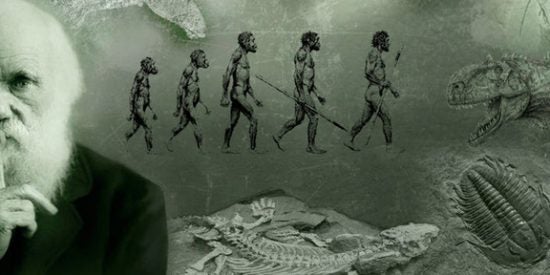 La evolución según Darwin: La revolucionaria teoría cambió nuestra comprensión del mundo