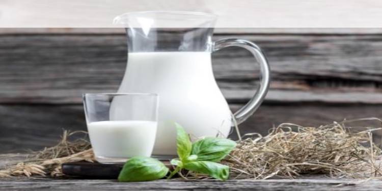 Beber leche… ¿es bueno o malo para tu salud?