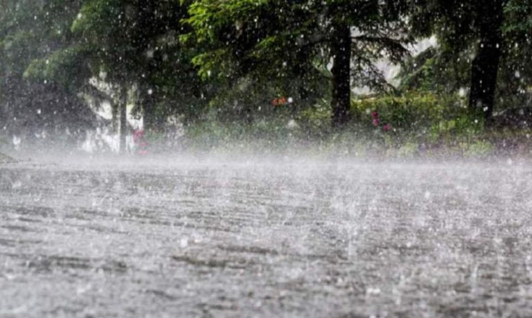 Las constantes lluvias saturan suelo de Florida