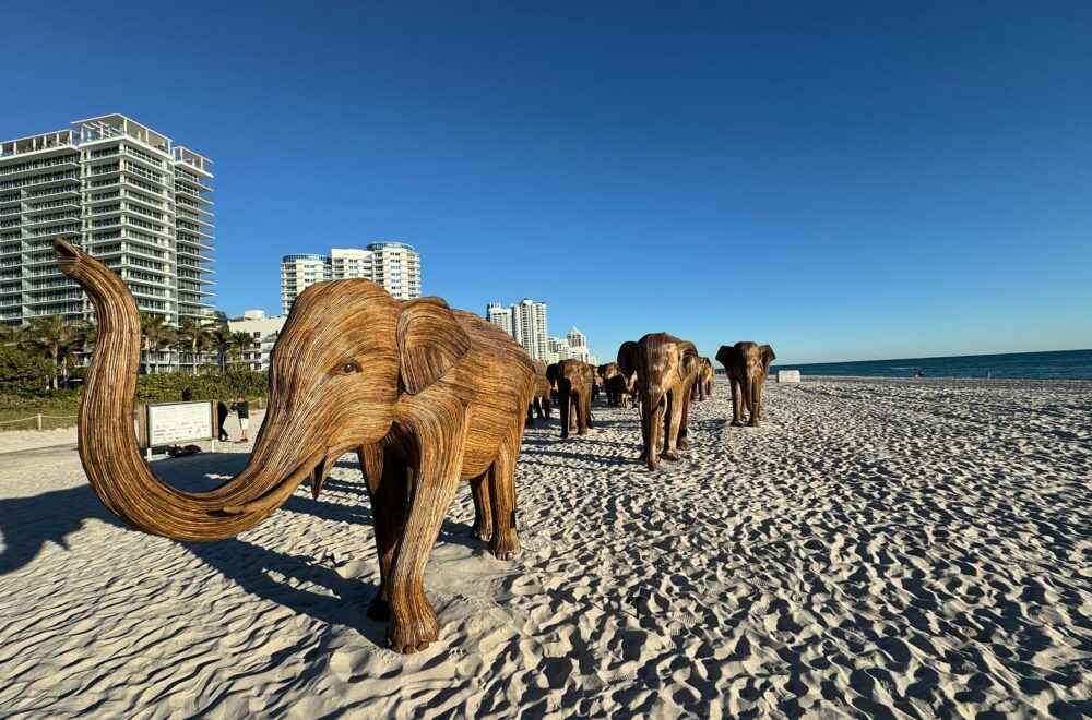 ¿Más de 100 elefantes gigantes en Miami Beach? Sí, pero son esculturas