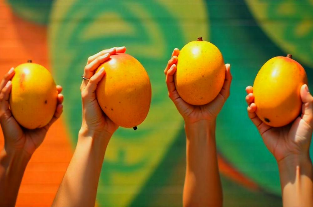 Miami en modo mangos: Tres sitios dónde puedes canjearlos por delicias locales
