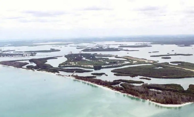 Alga tóxica producida por marea roja causa estragos en las costas de Miami