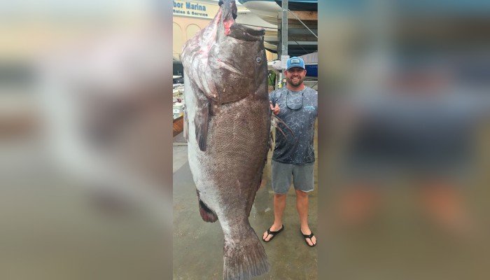 ¡Impresionante! Pez de 150 kilos fue capturado en las costas de Florida (Foto)