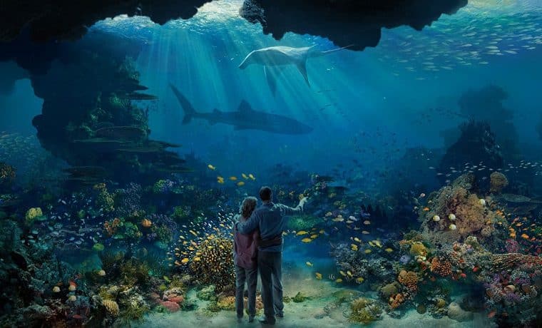 ¿Comer bajo el mar? Miami tendrá experiencia inmersiva en 2023