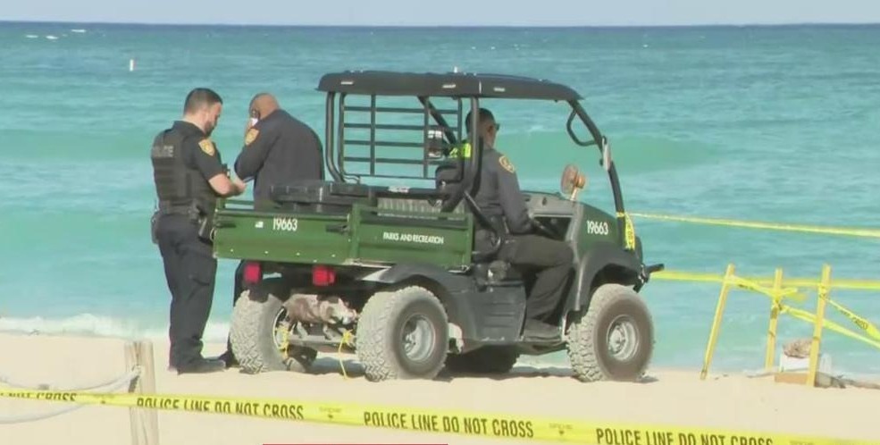 Aparecen restos de un feto humano en playa de Miami Beach