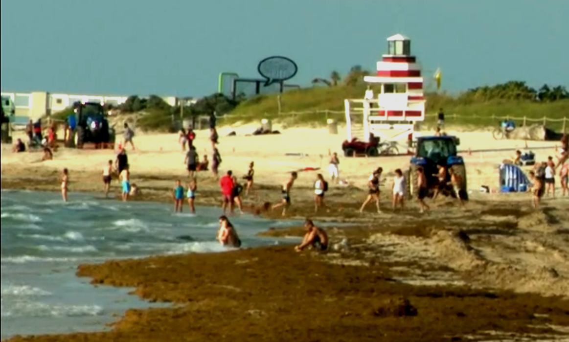 Visitantes disfrutaron de las playas del condado de Miami-Dade este miércoles