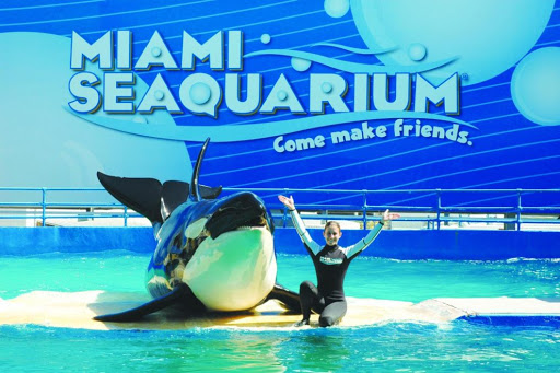 ¡Atención! Miami Seaquarium cerrará temporalmente por aumento de casos de COVID-19