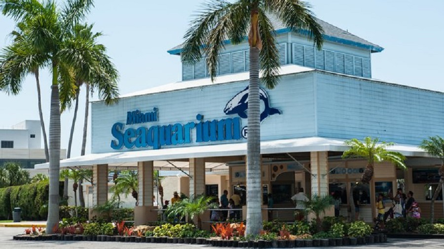 Miami Seaquarium podría cerrar sus puertas por violaciones de seguridad