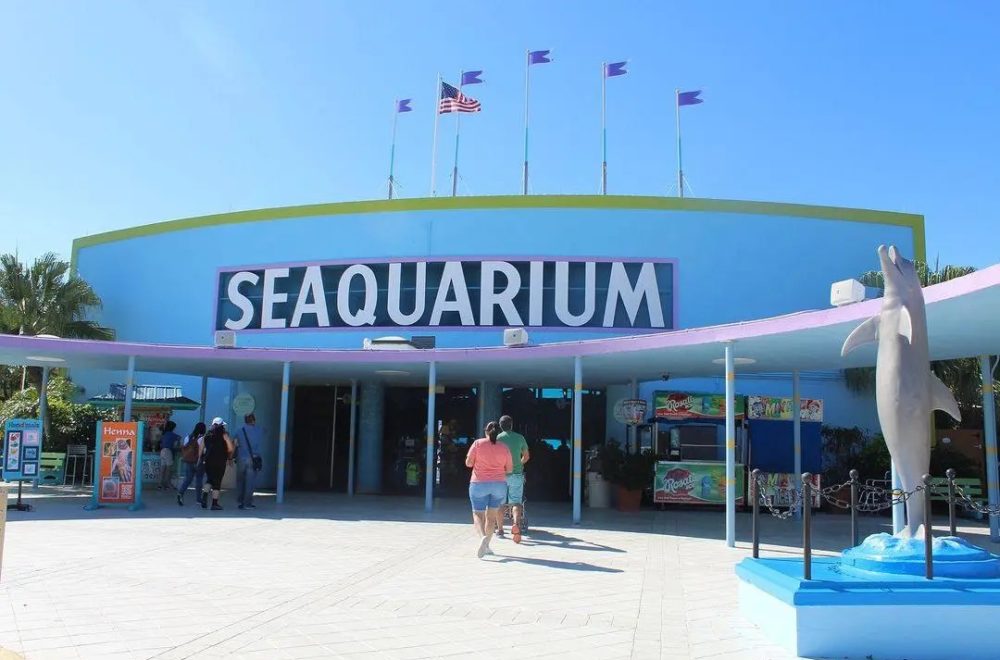 Miami Seaquarium toma medidas correctivas mientras su futuro sigue en debate