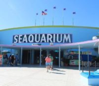Miami Seaquarium toma medidas correctivas mientras su futuro sigue en debate