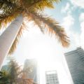 Cómo se prepara Miami para la temporada de calor 2024