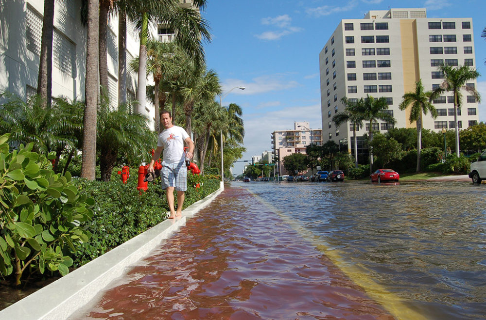 Nueva ley en Miami-Dade enfrentará el desafío de las inundaciones