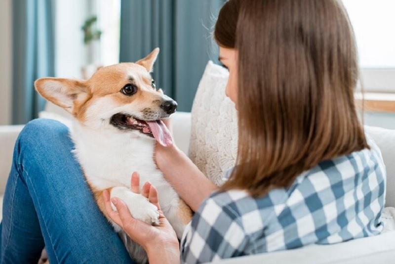 Hablar con tu perro no es señal de locura sino de mayor inteligencia, según la ciencia