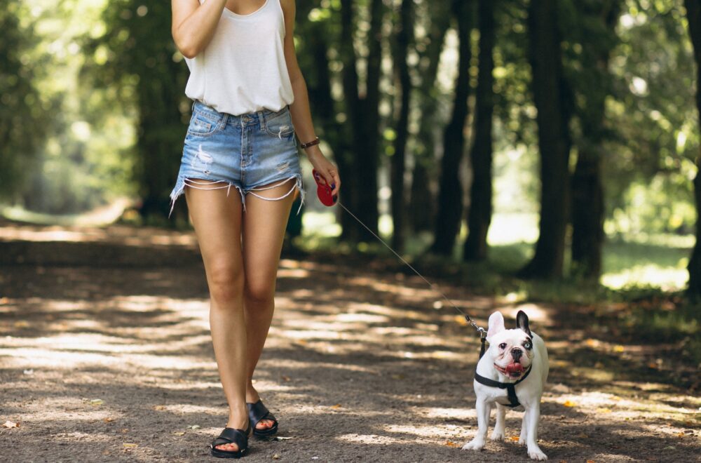 Palm Beach en alerta por agresor que ataca a mujeres mientras pasean a sus perros