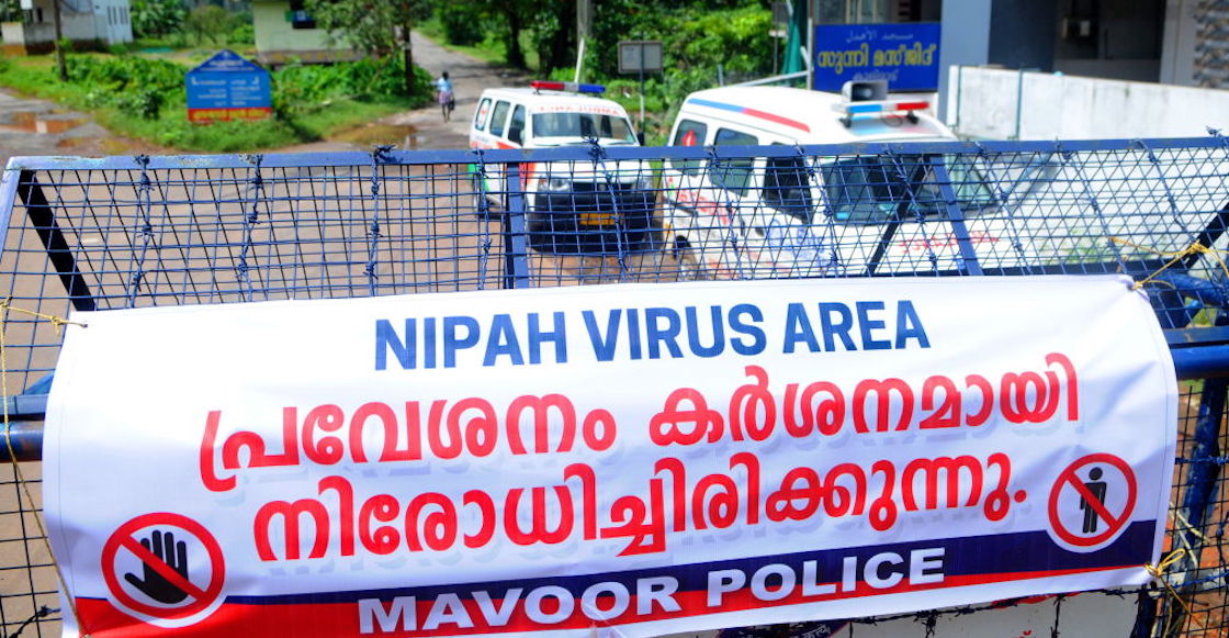 ¿Qué es el virus Nipah? ¿Es más letal que el Covid-19?