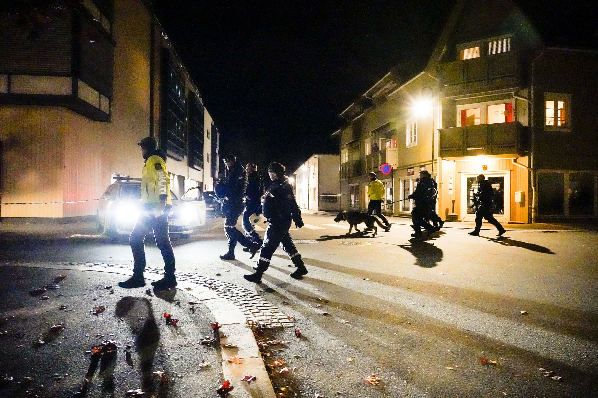 Muertos y heridos por ataque con arco y flechas en Noruega
