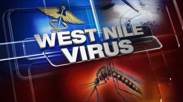 Residente de Miami-Dade confirmó ser el primer caso de virus del Nilo Occidental este año