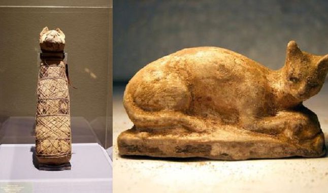 Científicos descubren inesperado contenido en antigua momia de gato egipcia