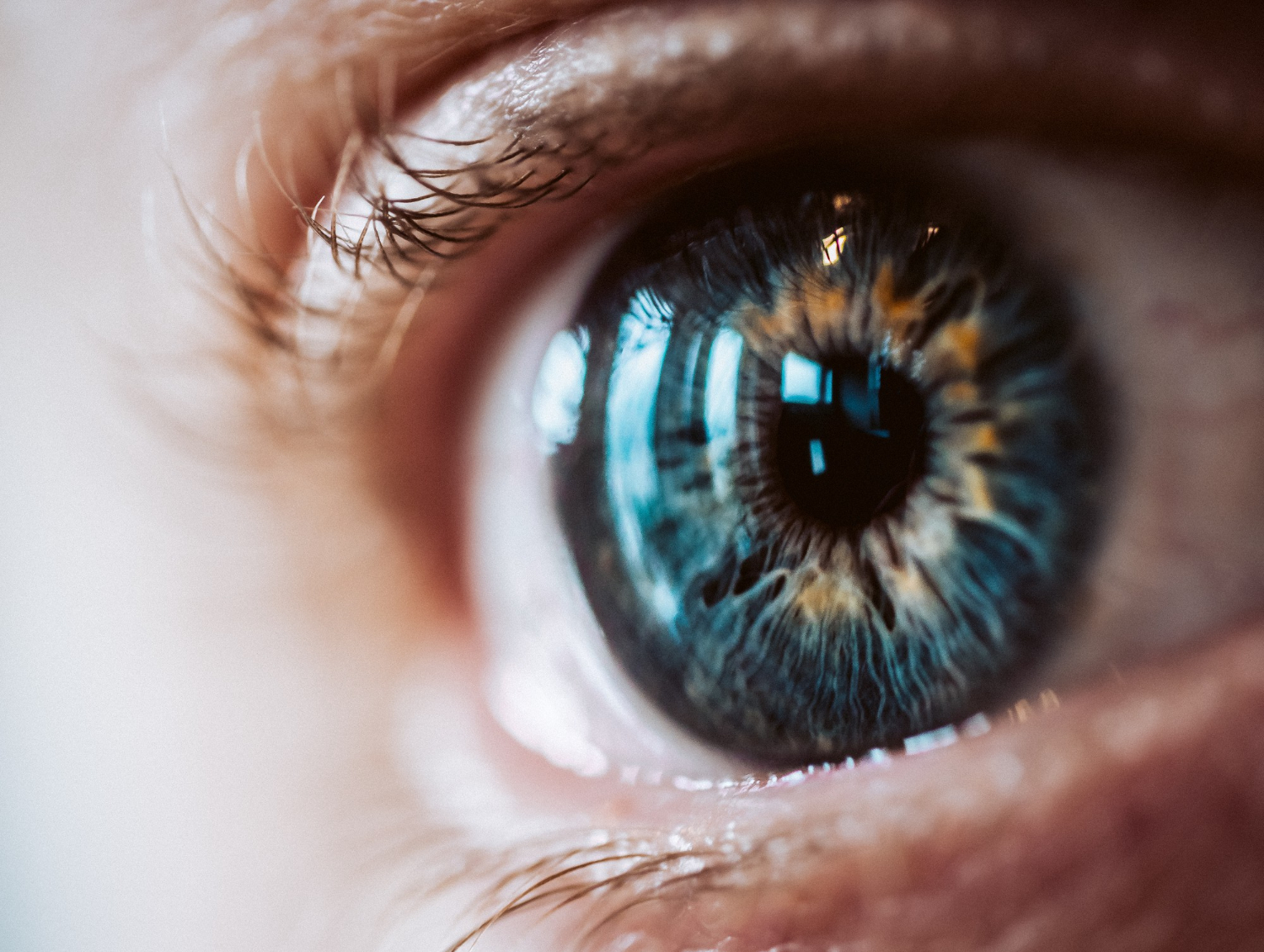 ¿Cómo influye el color de los ojos en la visión?
