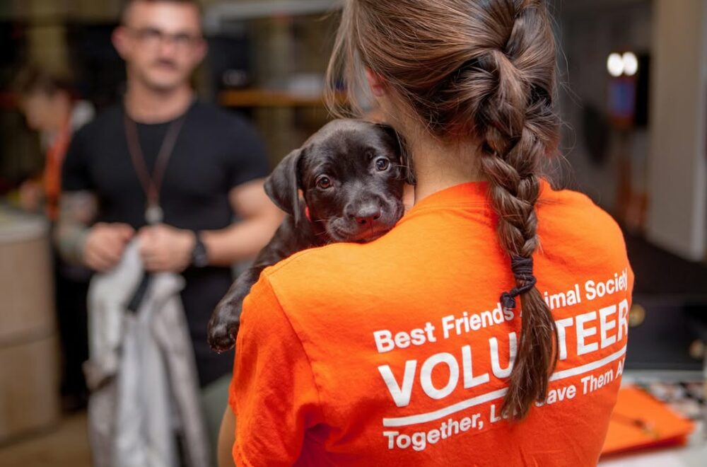 Grupos de rescate animal unieron fuerzas para salvar a más de 100 mascotas en Texas