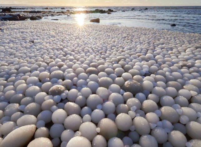 Miles de “huevos hielo” se formaron en una playa de Finlandia