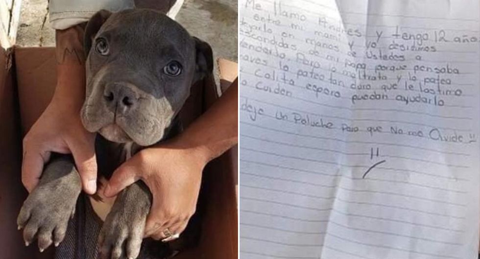 Un niño tuvo que abandonar a su cachorro en un refugio para evitar que su padre siguiera maltratando al animal