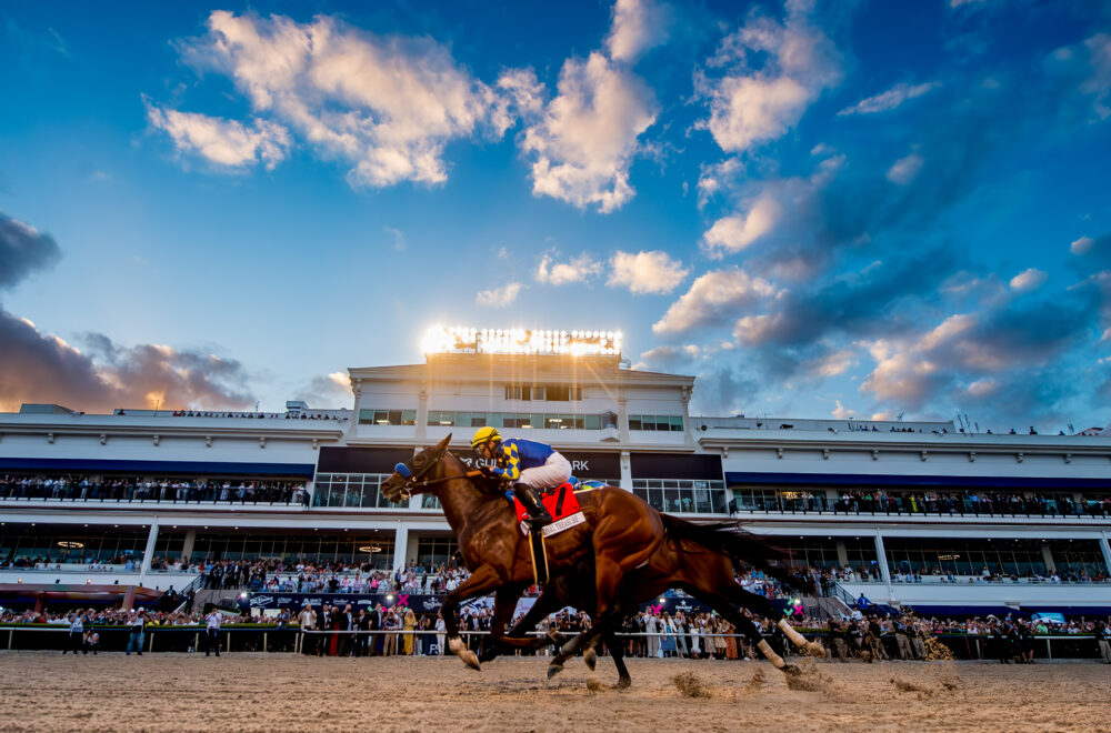 La Pegasus World Cup 2025 regresa a Miami con carreras, artistas y diversión