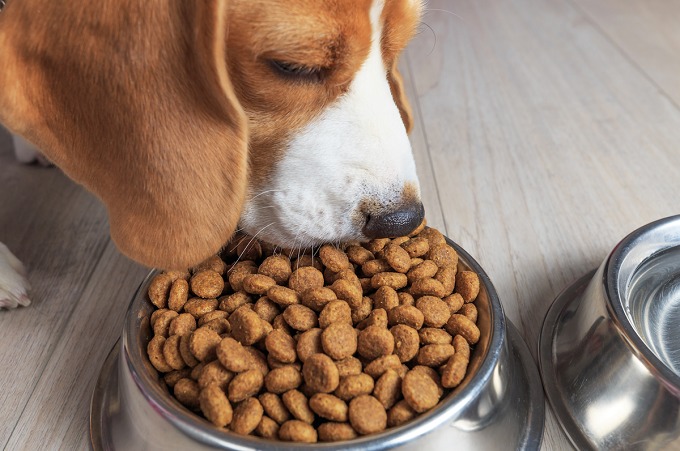 Estos alimentos pueden ser  dañinos  para  los perros