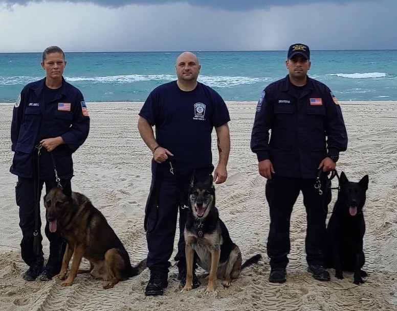 Perros de la Policía de Nueva York apoyaron en las labores de rescate en Surfside