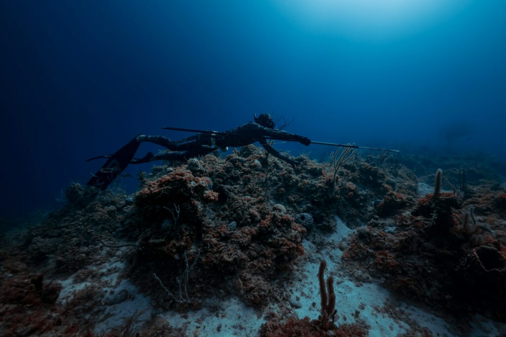 tiburón Bahamas