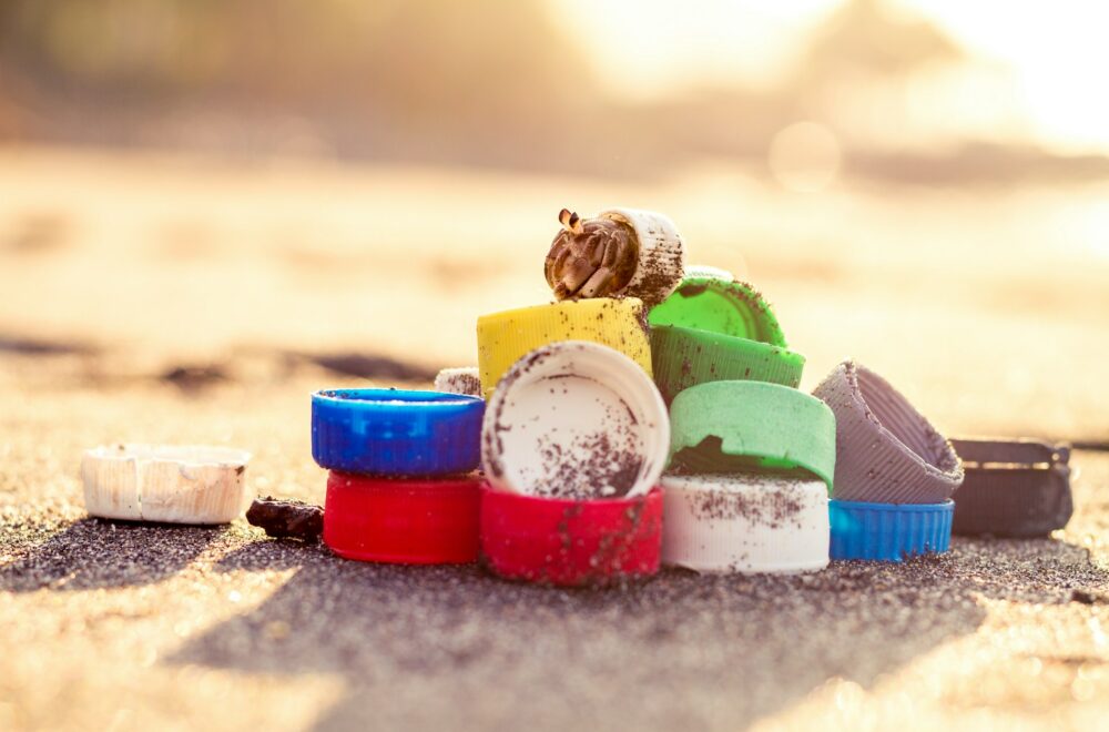 Detectan contaminación por piezas de plástico en al menos ocho playas de Florida