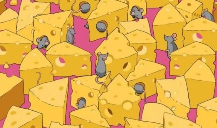 Curioso reto visual: Encuentra el dado oculto entre las ratas y los quesos