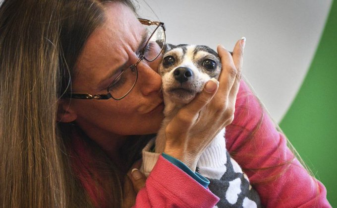 Después de 12 años una mujer y su mascota se reencontraron en Florida
