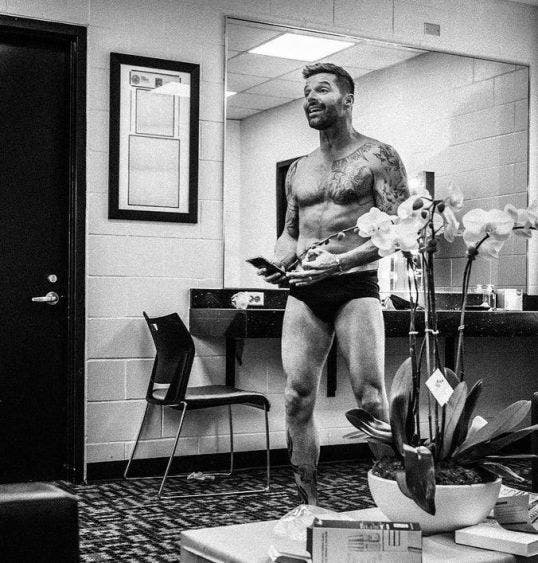 Ricky Martin dejó a más de uno sudando y caliente al posar en poca ropa  (FOTOS)