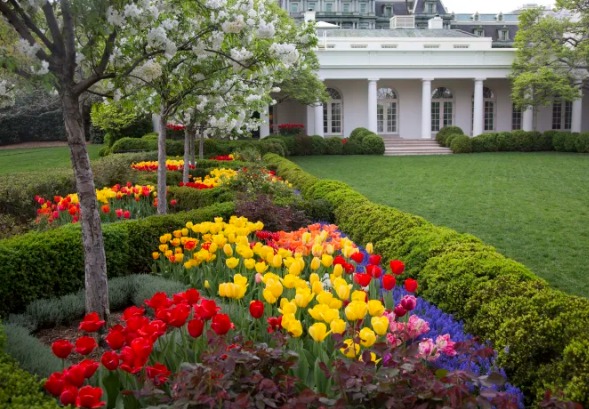 La batalla de Melania Trump y Jill Biden por el jardín de rosas de la Casa Blanca