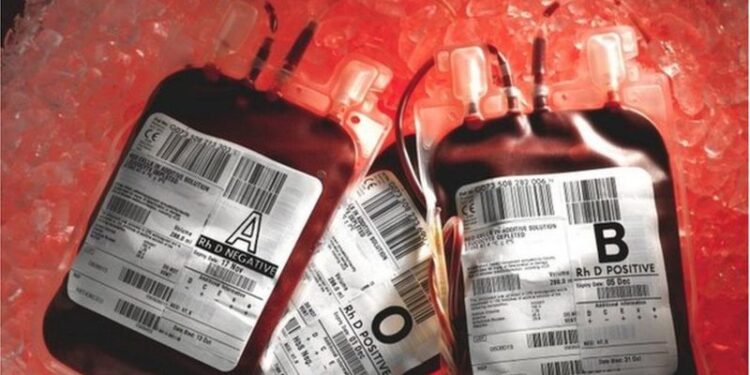 Decenas de niños murieron de sida y hepatitis en una escuela británica tras recibir sangre contaminada