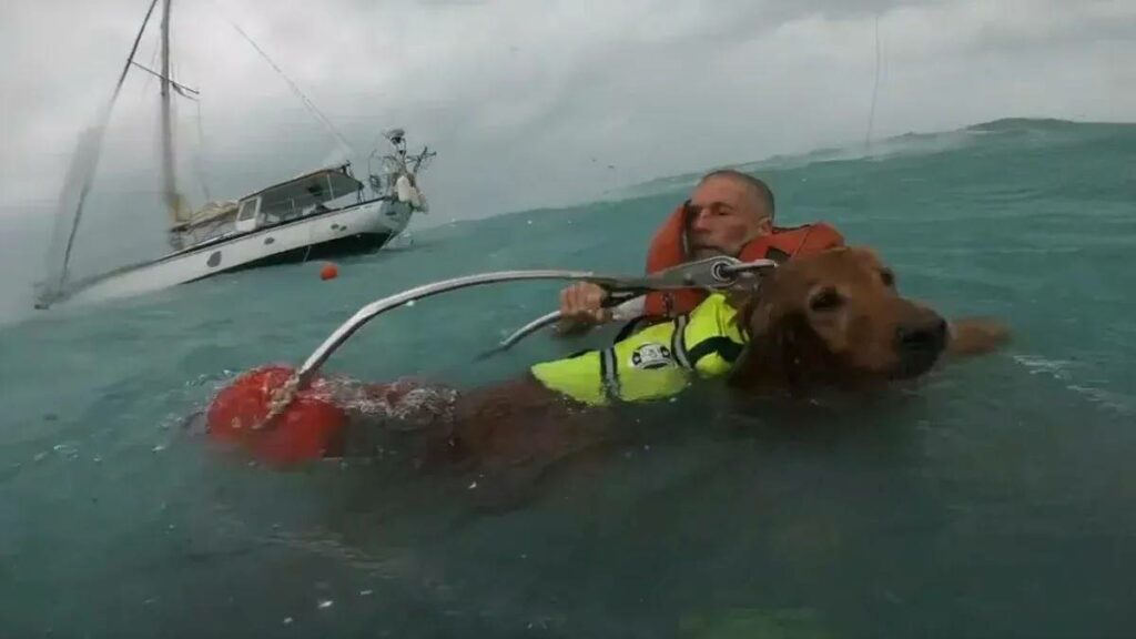 Rescate en Sanibel Island