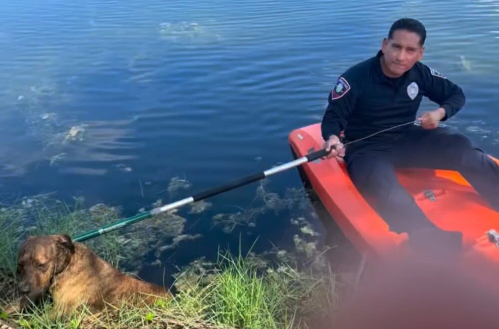 Policías rescatan a perro que flotaba en un canal de Pembroke Pines