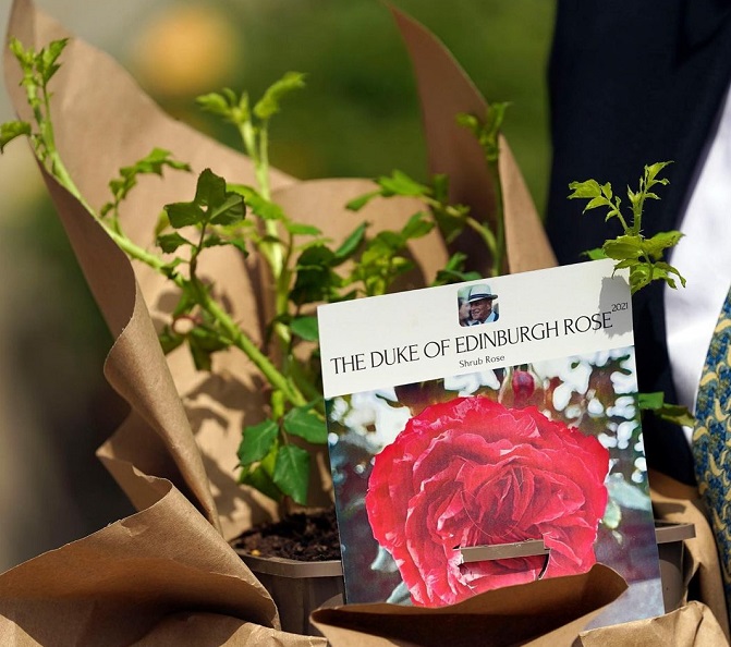 Con una rosa se conmemoró  el centenario del Príncipe Felipe