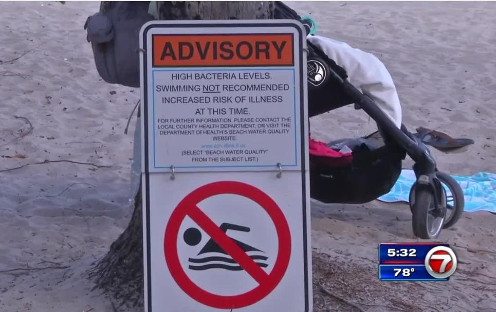 Las aguas de Hollywood Beach se encuentran contaminadas