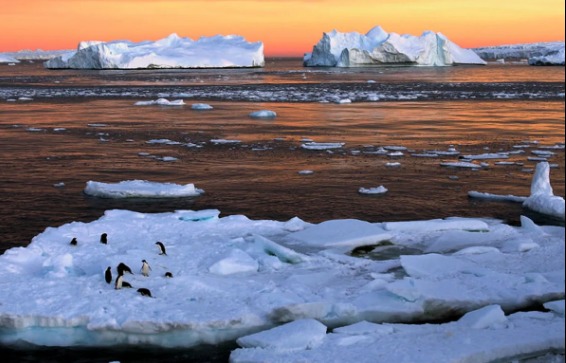 La Antártida bate récord de temperatura con 40º por encima de la norma, un evento sin precedentes