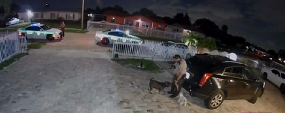 Policía de Miami-Dade mató a un perro porque le molestaba su ladrido
