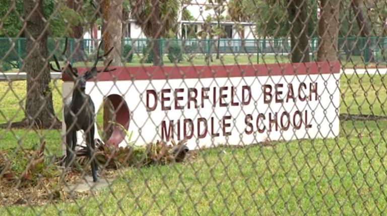 Niña de 12 años es acuasada de ser la responsable de las amenazas de tiroteo en la escuela secundaria de Deerfield Beach