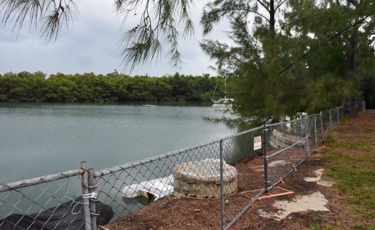Miami-Dade emite nuevos avisos de ‘no nadar’ en varias playas