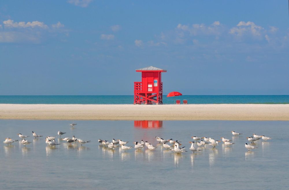 Siesta Key Beach, un oasis de arena cristalina en el corazón de Florida